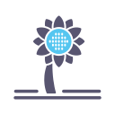 girasol icon