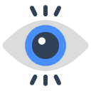 ojo icon