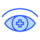 Œil icon