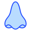 Nose 