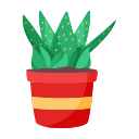 Cactus icon