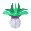 Cactus icon