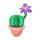 Cactus icon