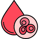 célula sanguínea 
