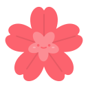 flor de cerezo 