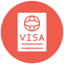 visa icon