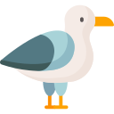 gaviota icon