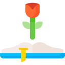 Sant jordi icon