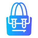 bolso icon