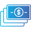 Money icon