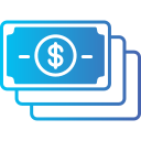 Money icon