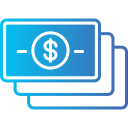 Money icon