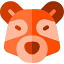 mapache icon