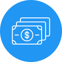 dólar icon