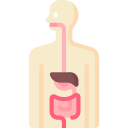 tracto gastrointestinal