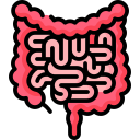 intestino icon