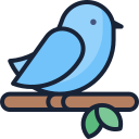 pájaro icon