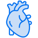 corazón icon