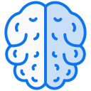 cerebro humano icon