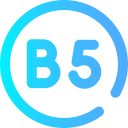 b5 