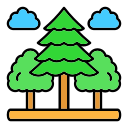 bosque icon