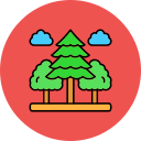 bosque icon