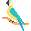 guacamayo 