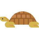 tortuga