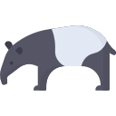 tapir 