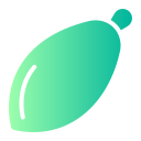 papaya icon