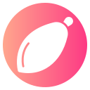 papaya icon