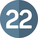 22 icon