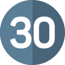 30 icon