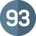 93 icon
