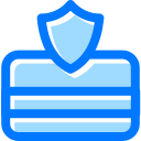 seguridad icon