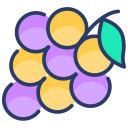 fruta icon