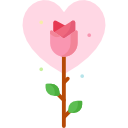 rosa