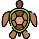 tortuga icon