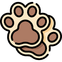 Track icon