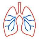 pulmones