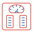 Weighing machine 