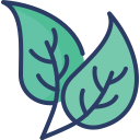 naturaleza icon