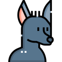 xoloitzcuintle icon