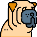 shar pei icon