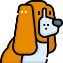 basset hound icon