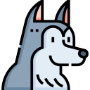 husky siberiano icon