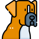 boxer icon