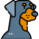 rottweiler icon