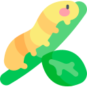 oruga icon