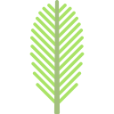 palmera icon